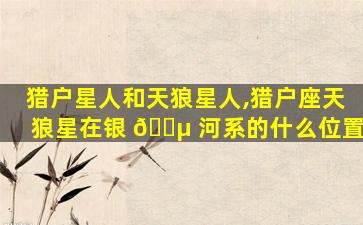 猎户星人和天狼星人,猎户座天狼星在银 🌵 河系的什么位置